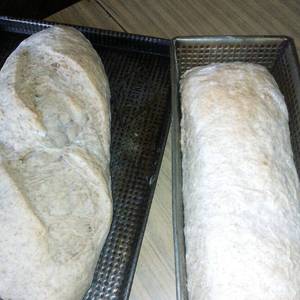 Pan integral sin sal