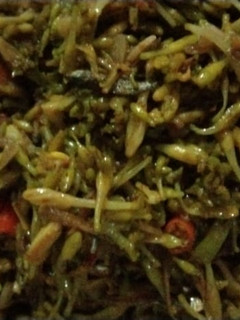 Foto resep Tumis bunga pepaya