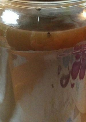 A picture of 18th Century Mushroom Catsup.
