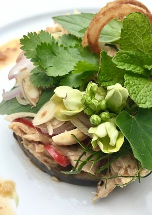A picture of Thai Aubergine Salad.