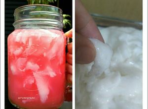Foto resep Es Kopyor KW super dgn Nutrijell & Santan