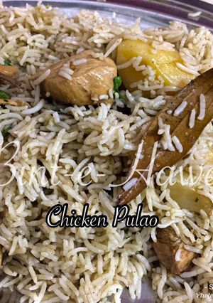 A picture of Chicken White Pulao.