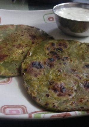 દુધી પાલક ના પરોઠા (Dudhi palak Paratha Recipe in Gujarati) રેસીપી મુખ્ય ફોટો