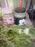 Dandelion and Purslane Smoothie