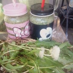 Dandelion and Purslane Smoothie A picture of Dandelion and Purslane Smoothie.