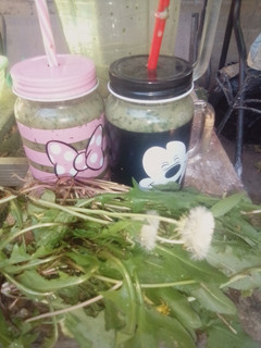 A picture of Dandelion and Purslane Smoothie.