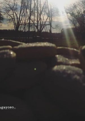 Una foto de Bizcochos 😋♥️