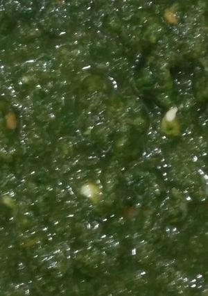 A picture of Green chutney.