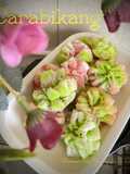Carabikang (mini carabikang)