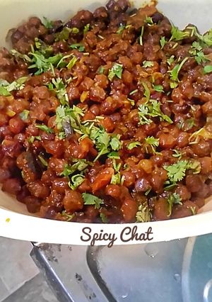 A picture of Spicy Chat.