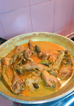 Foto resep Ayam Kampung Opor Pedas