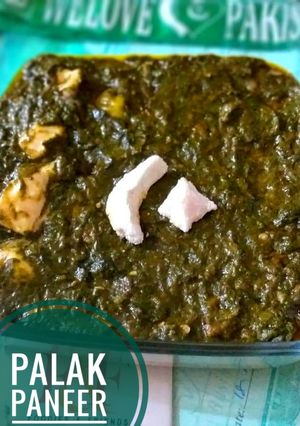A picture of Palak paneer.
