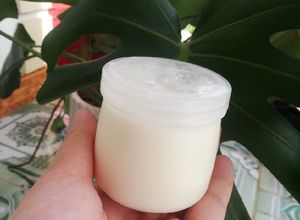 Hình của món Sữa chua lên men tự ủ.