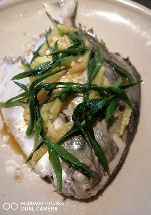 A picture of Steam Pomfret.