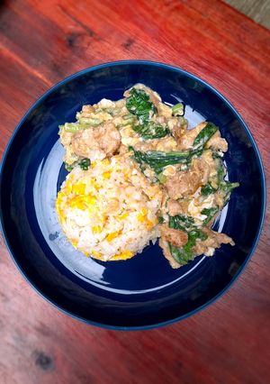 Foto resep Nasi Siram Ayam Sayur