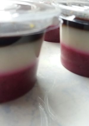 Foto resep Puding Sehat Istimewa😊