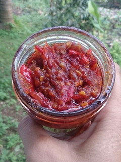 Foto resep 142. Sambel Terasi Homemade (Untuk Stok)