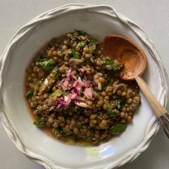 A picture of Lentils with Lebanese saffron.