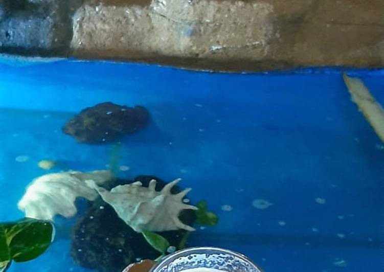 Cara Gampang Membuat Syai Adeni (teh susu rempah) yang Lezat