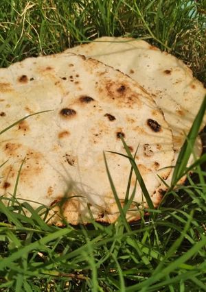 चावल के आटे की रोटी (chawal ke aate ki roti recipe in Hindi) रेसिपी मुख्य फोटो