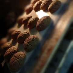 Foto di Biscotti al cioccolato