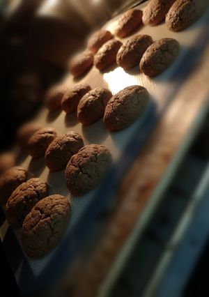 Foto di Biscotti al cioccolato