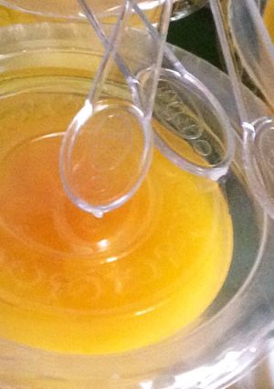 Foto resep Puding Sutra Mangga
