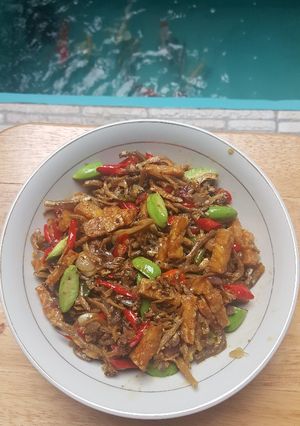 Foto resep Teri Pelangi