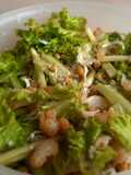 Green sea bass salad