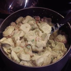 A picture of Chicken Tortellini with Shrimp in Avocado Alfredo Cream Sauce.