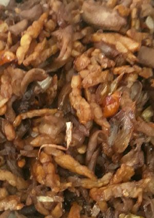 Foto resep Oseng Usus ayam Tempe Pedas