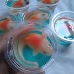 Puding koi cup 🐠
