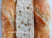 A picture of sourdough baguette