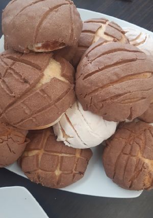 Una foto de Conchas