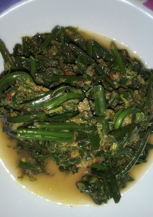 Foto resep Tumis pakis sederhana