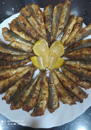صورة لوصفة سردين بالدرسة مقلي