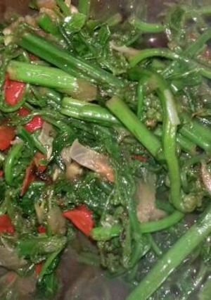 Foto resep Tumis Pakis