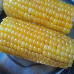 A picture of Boiled Makki.