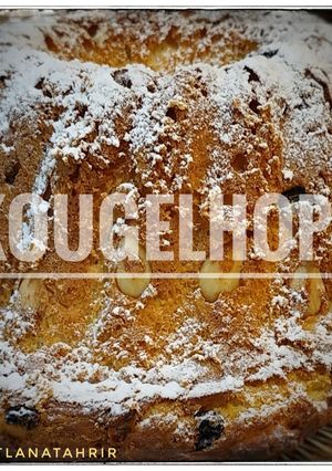 A picture of Kougelhopf.