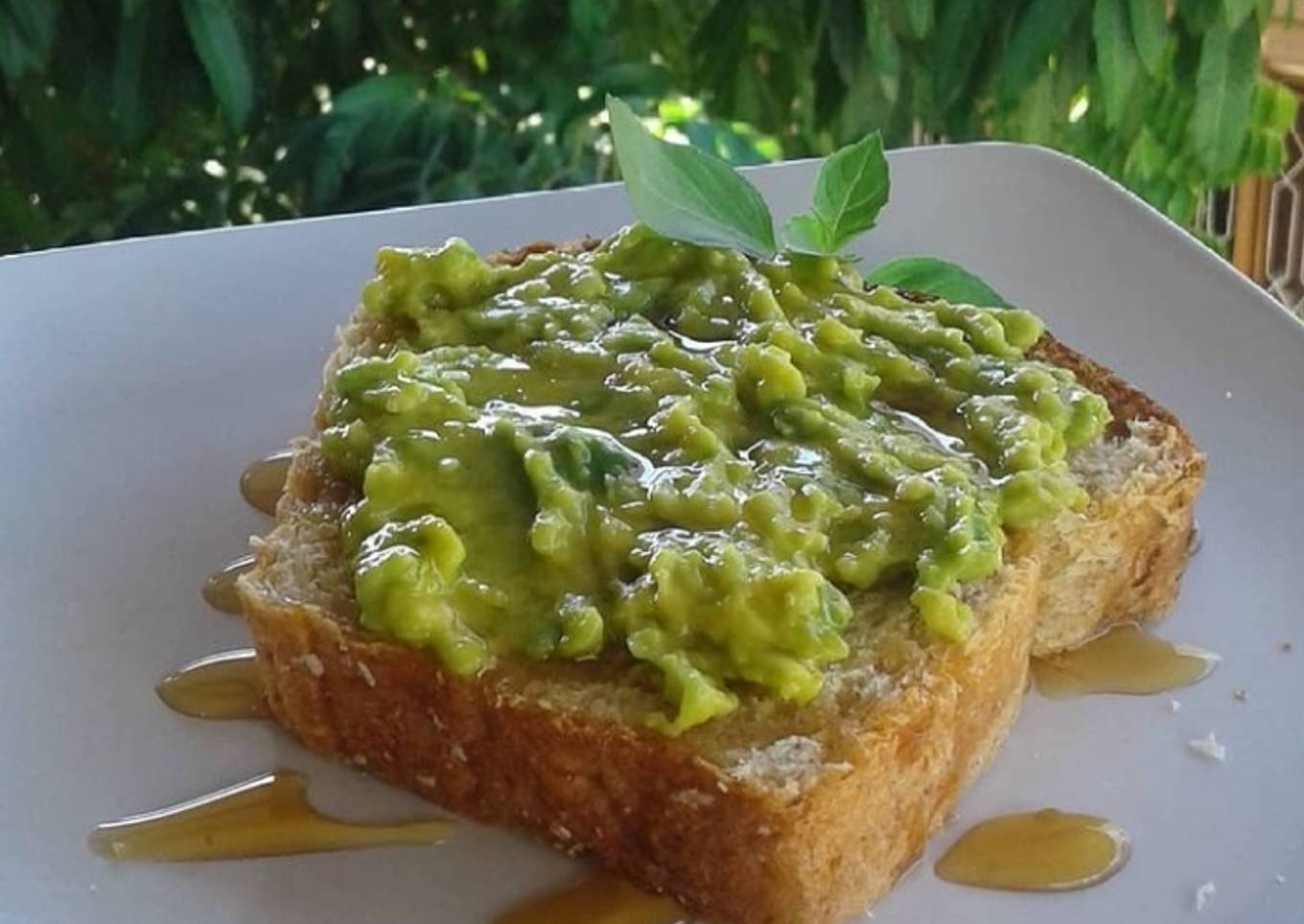 Open Sandwich with whole wheat bread and avocado