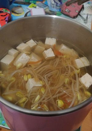 快煮鍋蕃茄黃豆芽豆腐湯 的食譜成品照片