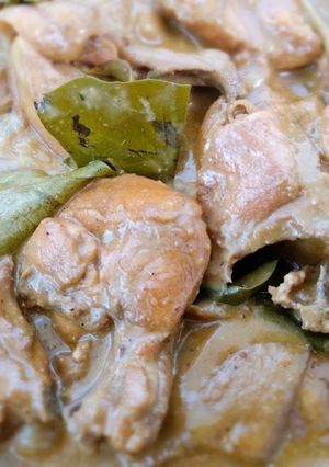 Foto resep Ayam opor praktis