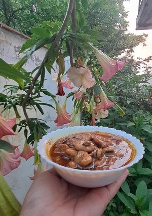 عکسی از دستور دوپیازه باقالی با غوره خشک و پودر غوره