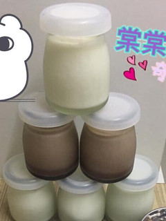 鮮奶酪&巧克力鮮奶酪(簡易版) 的食譜成品照片