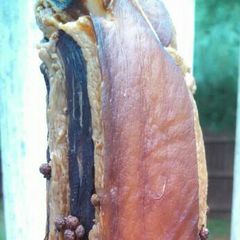 A picture of Cantonese dry aged pork belly.