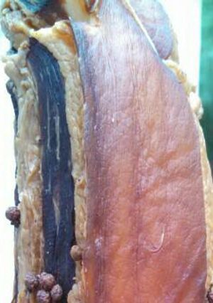 A picture of Cantonese dry aged pork belly.