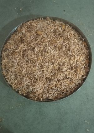 ગોટલીનો મુખવાસ (Gotli Mukhwas Recipe In Gujarati) રેસીપી મુખ્ય ફોટો