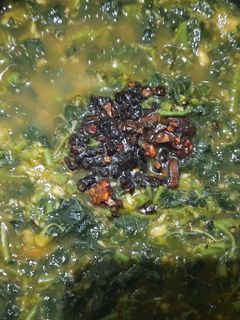 முளைக்கீரை கூட்டு (Mulaikeerai kootu recipe in tamil) செய்முறை முக்கிய புகைப்படம்