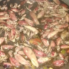 A picture of Adobo squid.