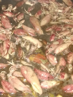 A picture of Adobo squid.
